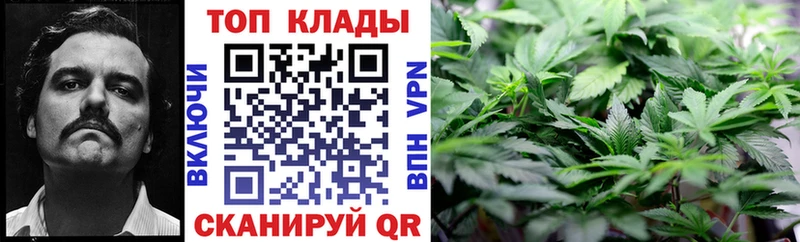 Как найти закладки Черняховск Конопля АМФ Мефедрон