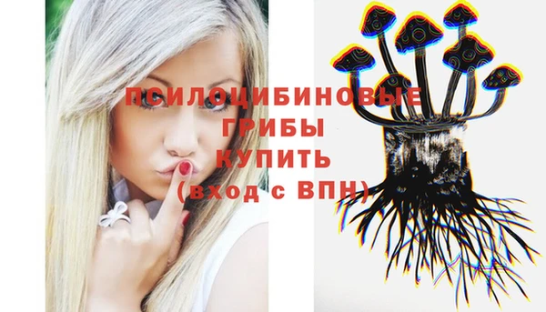 mdpv Карталы