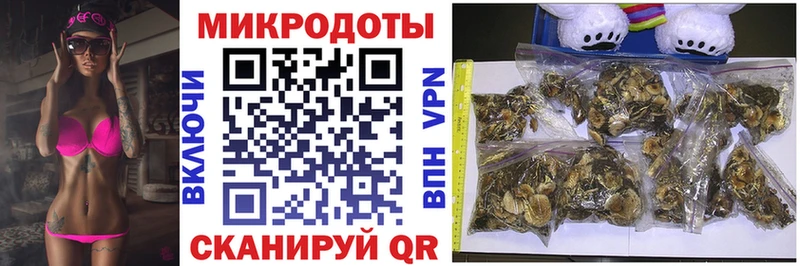Псилоцибиновые грибы Magic Shrooms  цены наркотик  Черняховск 
