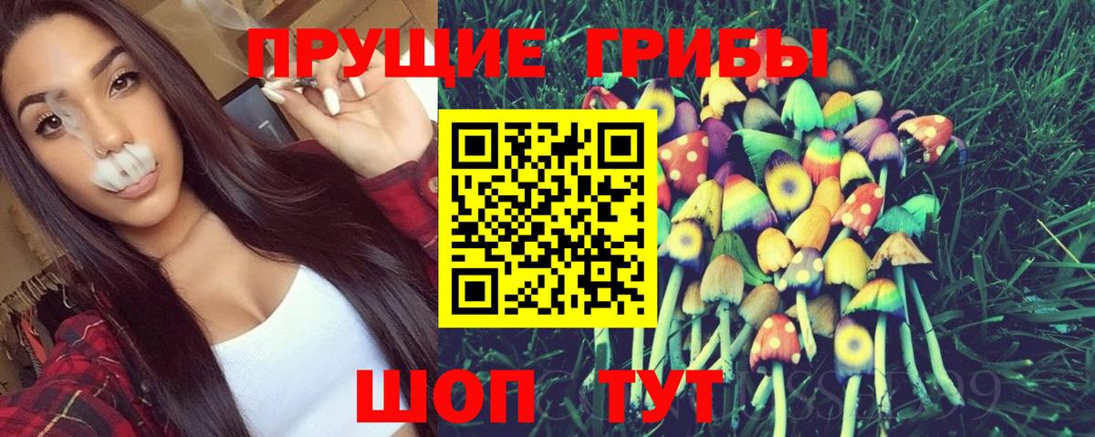 Псилоцибиновые грибы Psilocybine cubensis  Черняховск  Галлюциногенные грибы ЛСД 