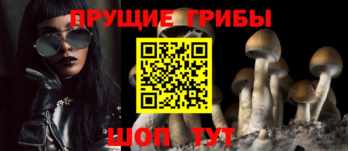 Галлюциногенные грибы GOLDEN TEACHER Черняховск