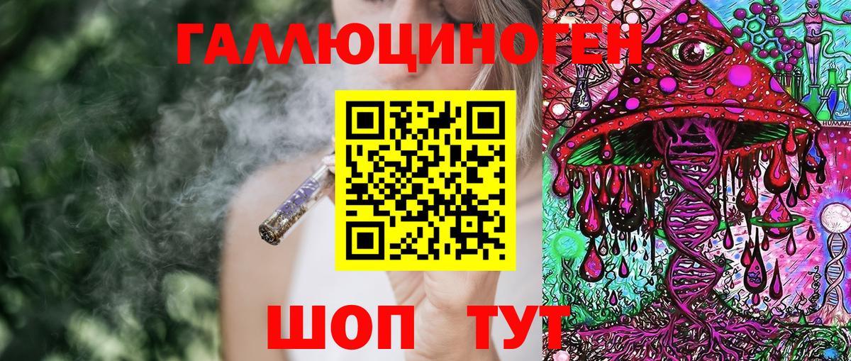 Галлюциногенные грибы Psilocybe Черняховск